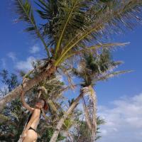 /photo/775480/saipan sexy/微信图片编辑_20190207010407_1_16_small.jpg